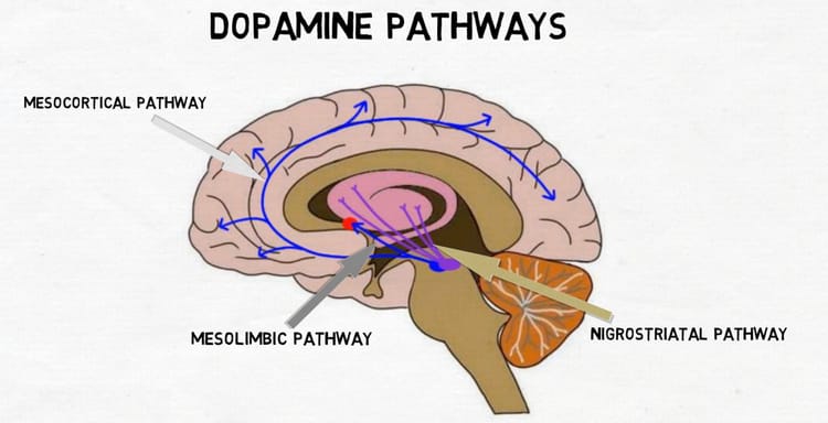 5 Ways I Use Dopamine To Boost My Productivity...